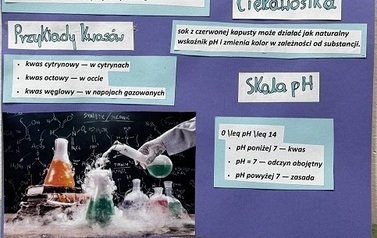 Plakat pt. Chemia na codzień przedstawiający grafikę i opisy dotyczce kwas&oacute;w