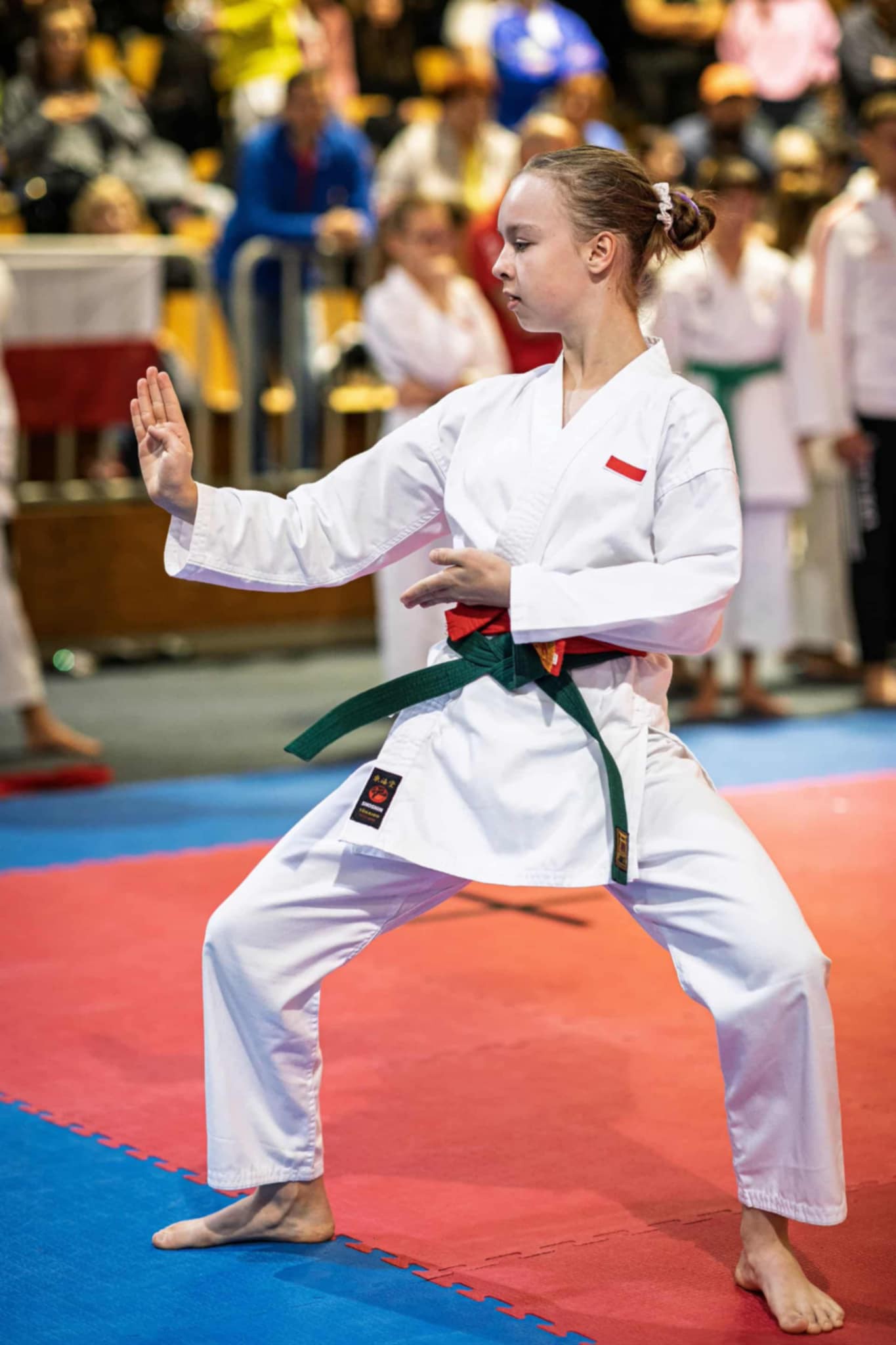karate_4